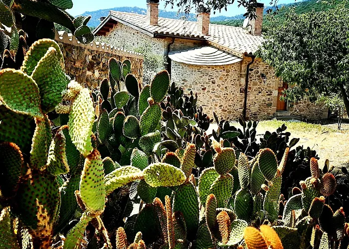 Landsted Santalo Cantallops